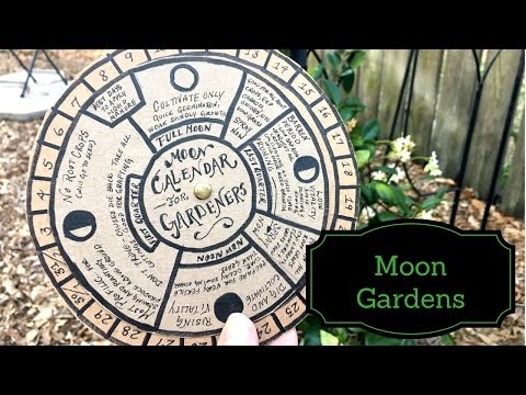 Moon in January 2017 - recommendations for gardeners and gardeners