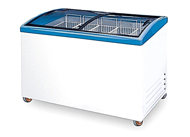 How to choose a chest freezer: model overview, reviews