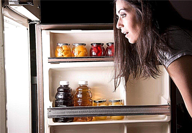 ¿Necesito apagar el refrigerador durante las vacaciones, durante mucho tiempo?