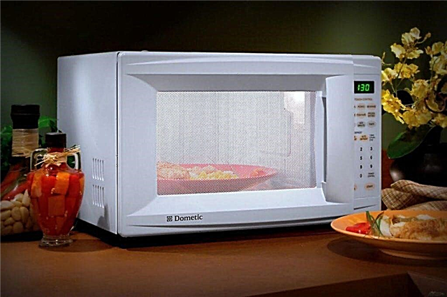 How and how to remove the smell from the microwave, get rid of burning