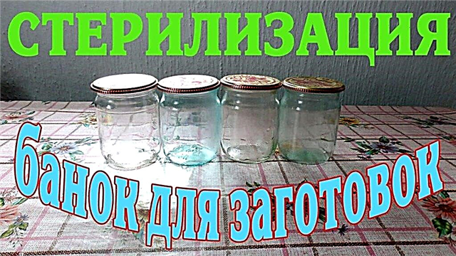 How to sterilize glass jars in the microwave