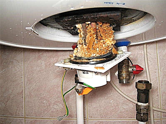 How to clean the water heater from scale at home