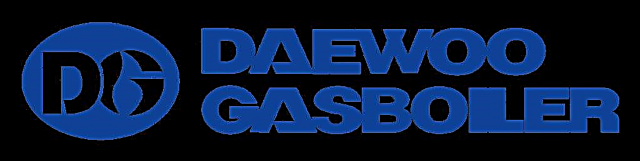 Daewoo gaspannor: granskning, recensioner, fel