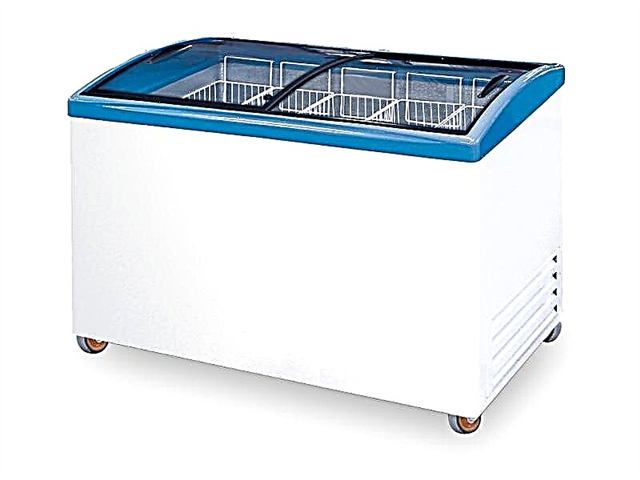 Operation and arrangement of the freezer chest: what to look for