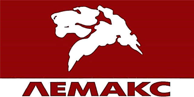 Gasketels Lemax: review, reviews, storingen