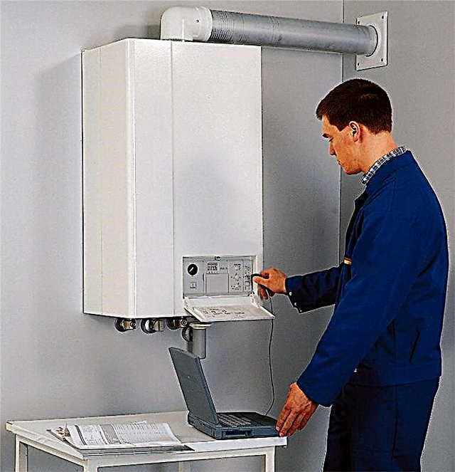 Setting the gas boiler: how to properly set the temperature, power