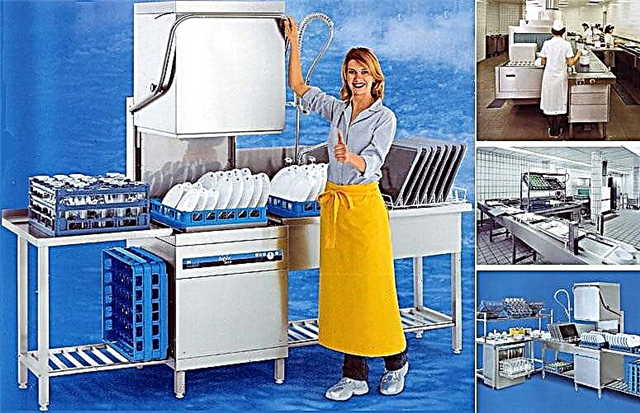 Overview of professional Meiko dishwashers for cafes and hotels