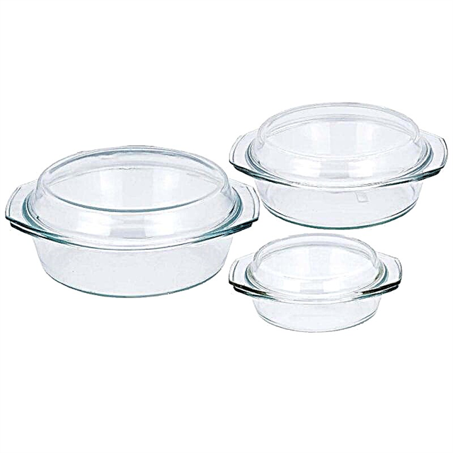 Que pratos podem ser colocados no microondas: vidro, cerâmica, plástico