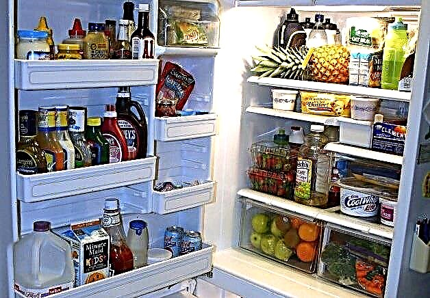 So lagern Sie Lebensmittel im Kühlschrank: Wo, in welchem ​​Zeitraum?