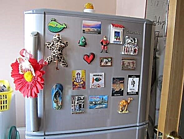 Pourquoi un réfrigérateur a-t-il besoin d'un aimant? Les scientifiques connaissent la réponse