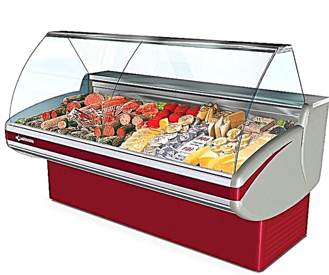 How to choose a freezer display case for trade