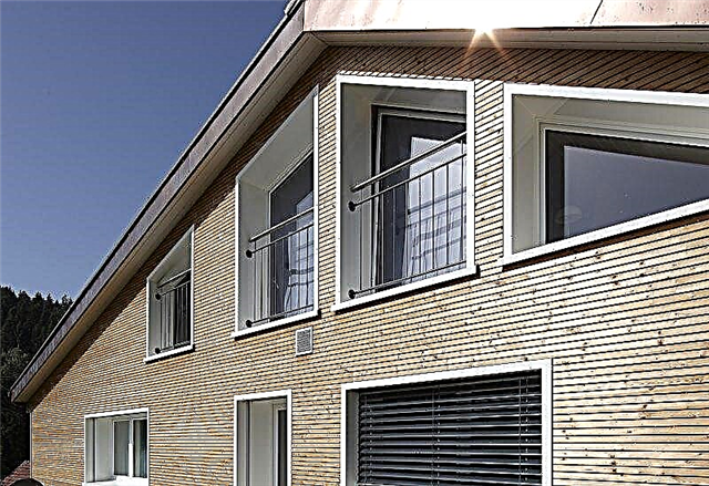 La fachada ideal de una casa de madera: ideas, opciones, ventajas.
