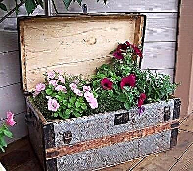 How to make a wooden flower box with your own hands