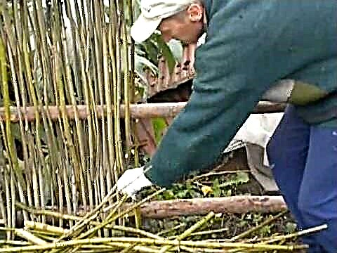 What is wattle? We make an original wicker fence in the country with our own hands