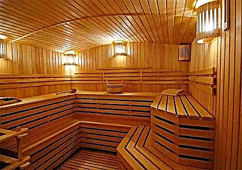 Quelle doublure prendre pour un bain ou un sauna? Nous choisissons la meilleure option pour le prix et la qualité