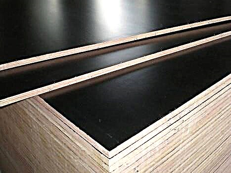 Ship plywood - incredibly strong and wear-resistant material