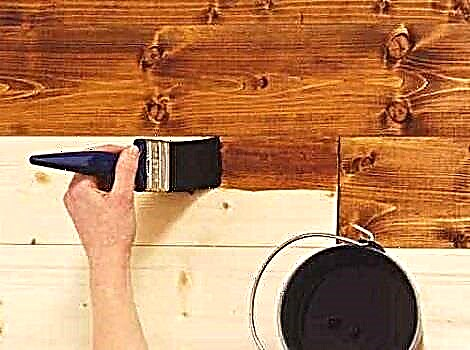 How to paint the lining inside the house or cottage: choose varnish and paint