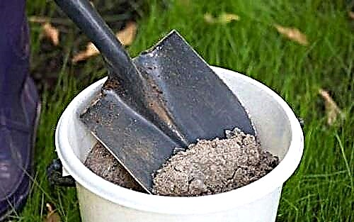 Wood ash: fertilizer mineral composition and soil application methods
