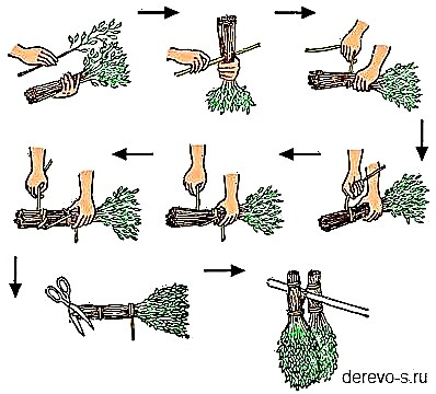 The rules for harvesting birch brooms: terms of collection of branches, drying and storage