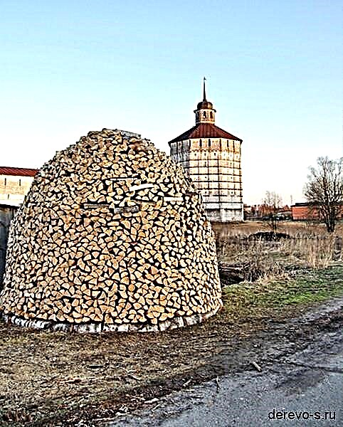 Do-it-yourself woodpile for firewood: round, with stakes and covered woodcutter