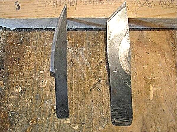 Pahat untuk ukiran kayu: jenis alat dan metode pembuatan lakukan sendiri