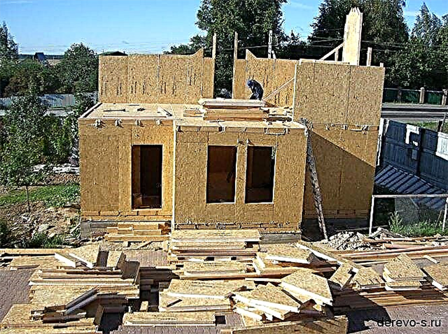 How to build a house from SIP panels? Adopt Canadian technology