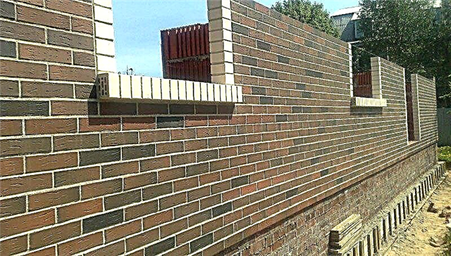 Long-lasting cladding with cladding brick