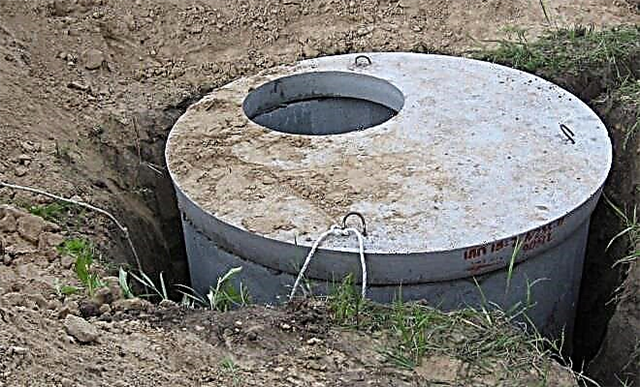 How to make a cesspool for the toilet in the country?