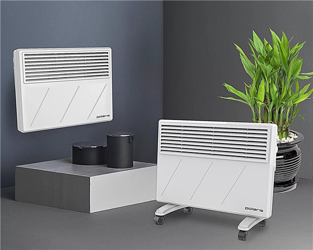 Which heater is better - oil or convector?