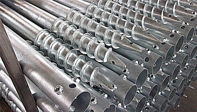 Detailed overview of screw blades of various types