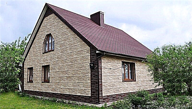 Optionen für Fassadenplatten zur Dekoration des Hauses im Freien