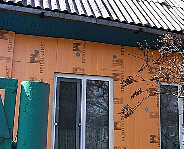 Външна изолация на дървена къща с помощта на "Penoplex"