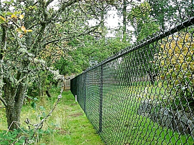 How to install a fence from the netting with your own hands?