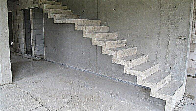 גרם מדרגות בטון מונוליטי DIY