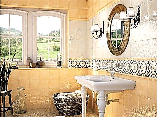 ¿Qué azulejo elegir en un baño pequeño?