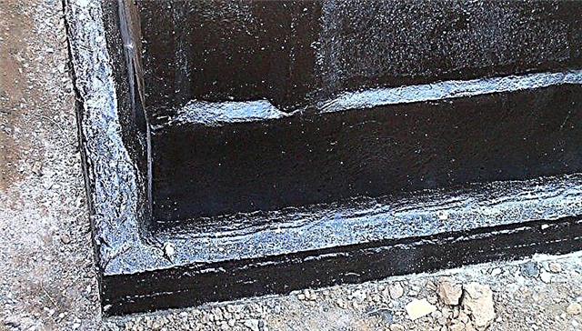 Procesamiento de cimientos con masilla bituminosa para impermeabilización