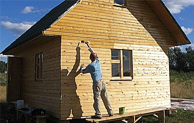Processing a wooden house with impregnation inside and out