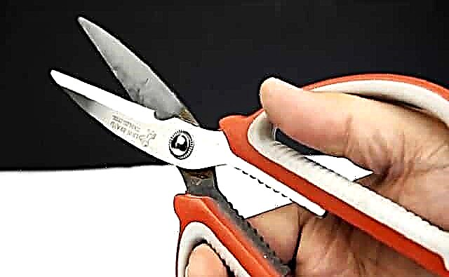 How to sharpen scissors at home?