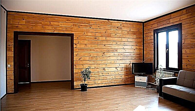 Belle décoration à l'intérieur d'une maison en bois: options et technologies