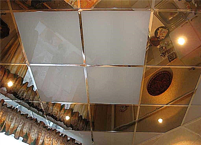 Decoración de techo con paneles de plástico PVC.