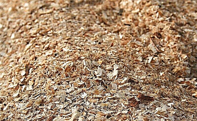 Features of floor insulation using sawdust