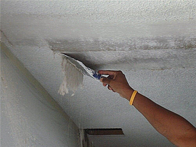 How to prepare the ceiling for painting?