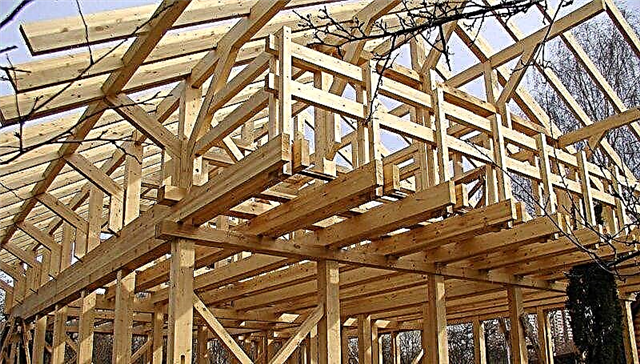 Do-it-yourself step-by-step instructions for building a frame house