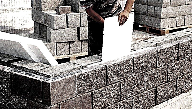 Que fundamento escolher para uma casa a partir de blocos de concreto expandido