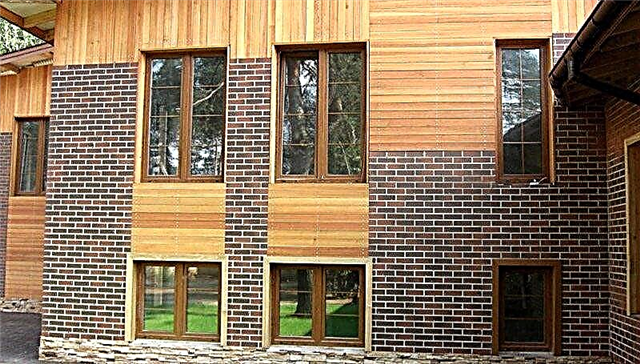 Exterior finish of timber house