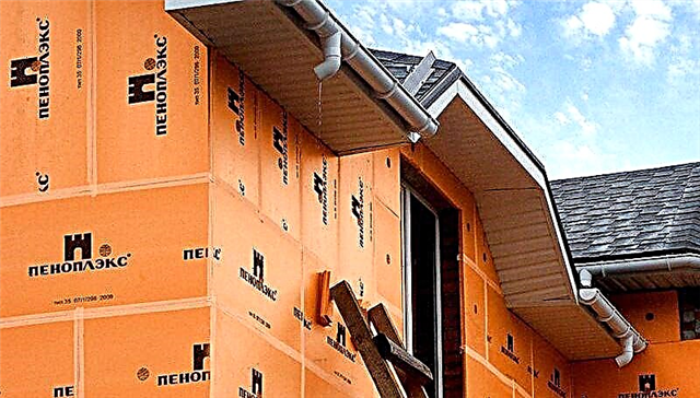The technology of proper insulation of the walls of the house Penopleks