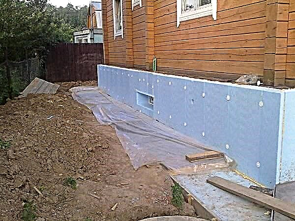 How and how to insulate the foundation of the house outside?