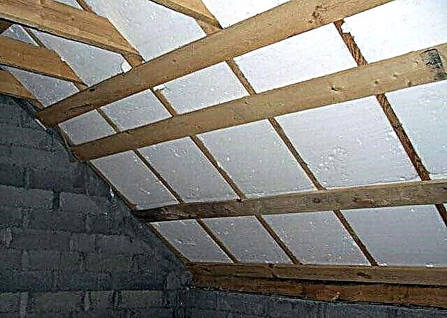 What is better to insulate the roof in a private house?