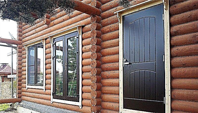 Kako namestiti železna vrata v leseno hišo