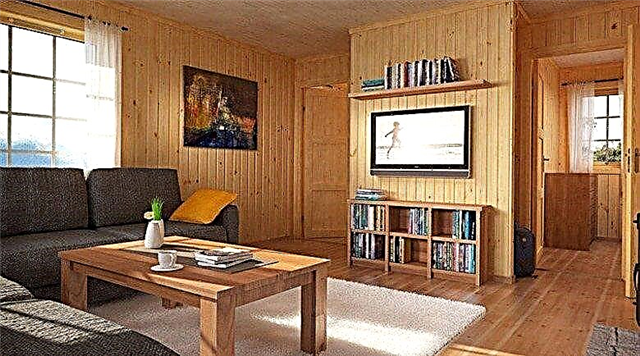 Visão geral das opções para decoração de interiores em uma casa de madeira